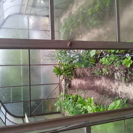 Couette-café Le Codette *