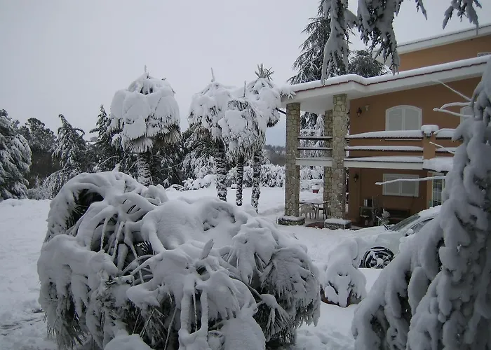 Le Codette Riano (Rome)