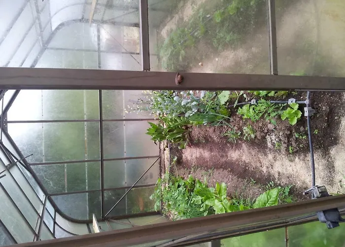 Bed and Breakfast Le Codette *